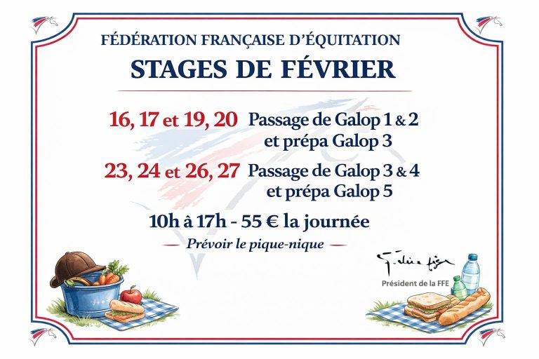stage poney vacances février
