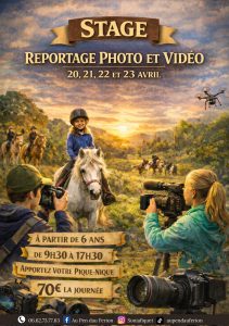 reportage photo et vidéo à poney